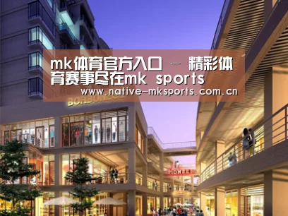 案例展示一(图1)