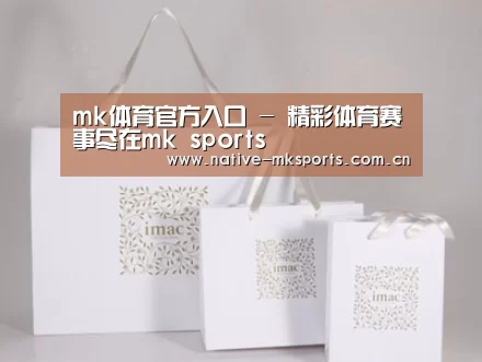 项目名称十一