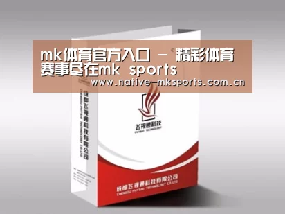 项目名称十三