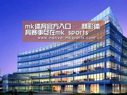 案例展示五