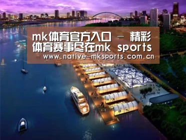案例展示八
