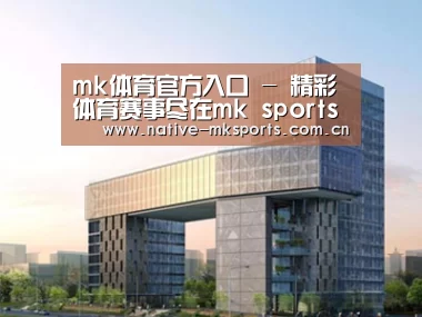 案例展示四