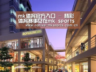 案例展示一