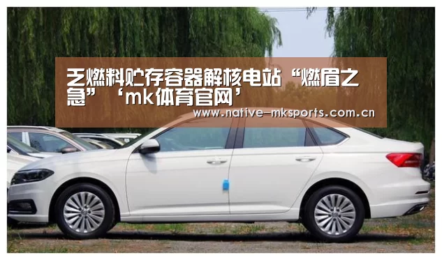 乏燃料贮存容器解核电站“燃眉之急”‘mk体育官网’(图2) mk体育入口