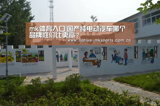 mk体育官网