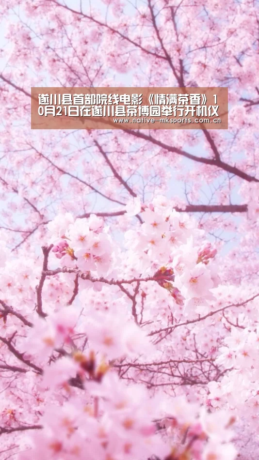 遂川县首部院线电影《情满茶香》10月21日在遂川县茶博园举行开机仪式“mk体育官网”(图1) mk体育app