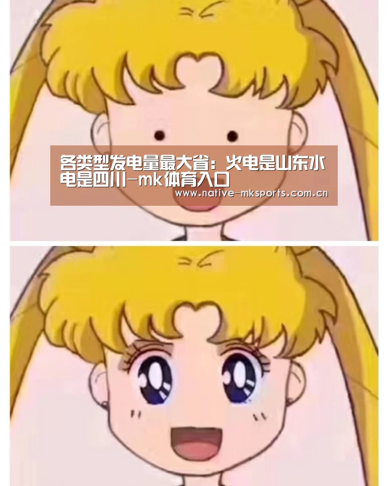 各类型发电量最大省:火电是山东水电是四川-mk体育入口(图1) mk体育入口