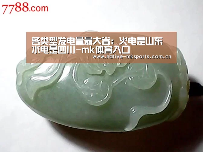 各类型发电量最大省:火电是山东水电是四川-mk体育入口(图3) mk体育入口