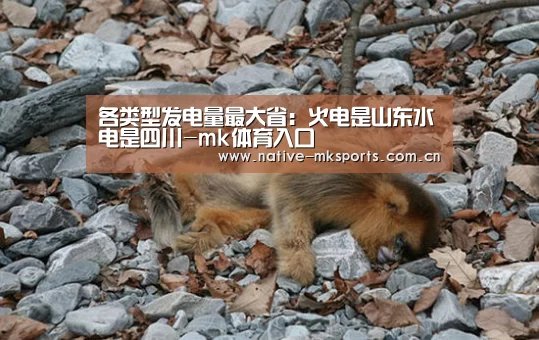 各类型发电量最大省:火电是山东水电是四川-mk体育入口(图4) mk体育